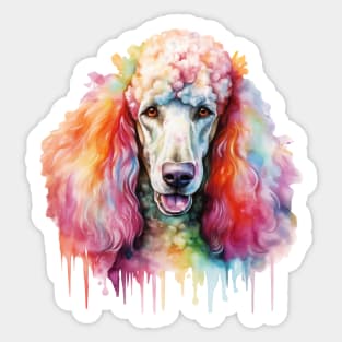 Colorful Poodle Watercolor Art Sticker